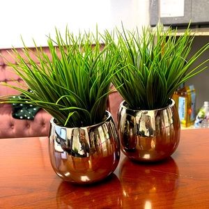 Faux Chrome Potted Plant